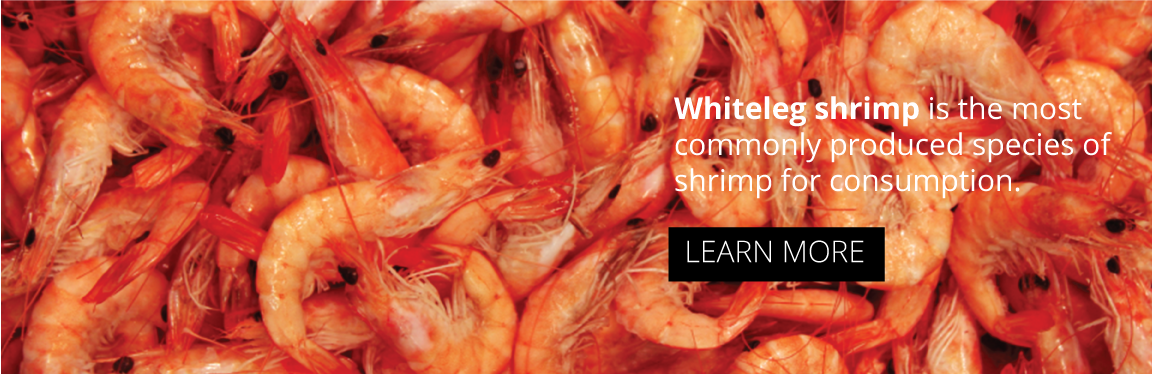 Learn more